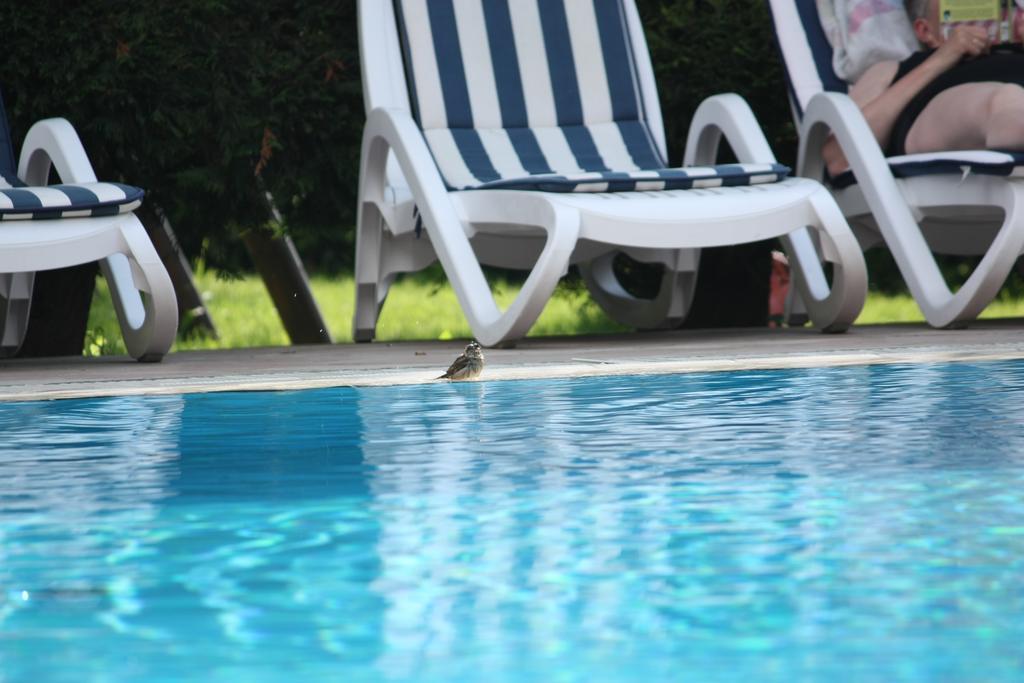 Residence Val Di Monte Malcesine Ngoại thất bức ảnh